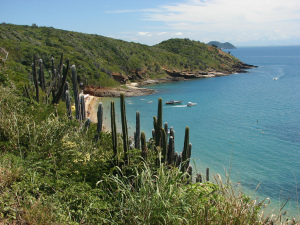 Onde Casar em Búzios_Praia de João Fernandes_Blog Casamento em Búzios_Casamento na Praia_Guia de Fornecedores_