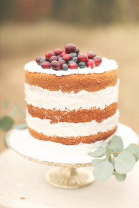 Brandy Smyth_naked Cake_guia de fornecedores_casamento em búzios.2