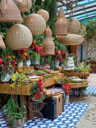 IMG_9034_Facetune_01-10-2019-17-01-23